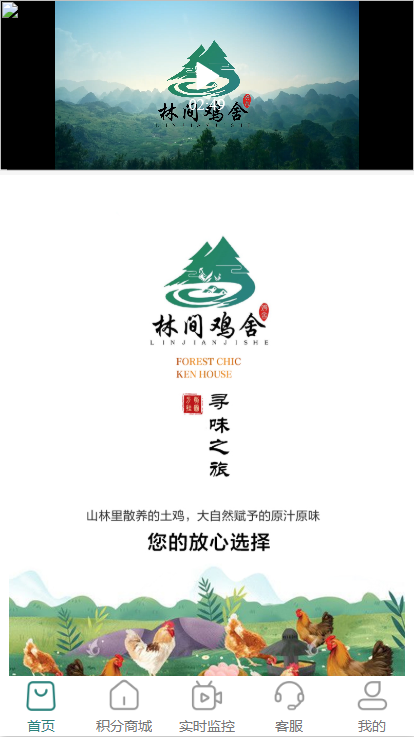 林间鸡舍